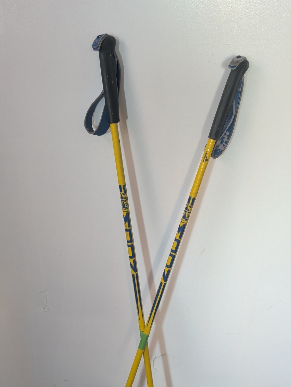 Vintage Moon Ski Poles Adult